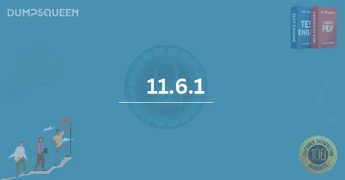 How 11.6.1 Enhances System Performance and Security