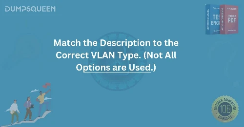Match the Description to the Correct VLAN Type. (Not All Options are Used.)