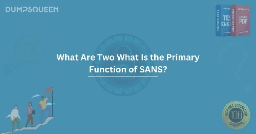 What Are Two What Is the Primary Function of SANS?