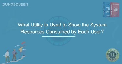 What Utility Is Used to Show the System Resources Consumed by Each User? Explained