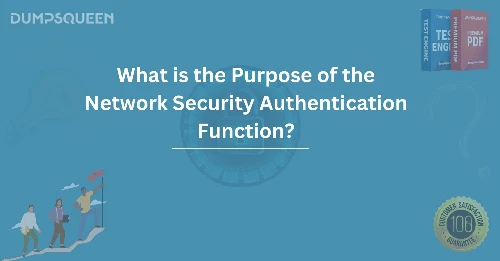 What is the Purpose of the Network Security Authentication Function?