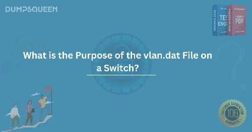 What is the Purpose of the vlan.dat File on a Switch? Explained