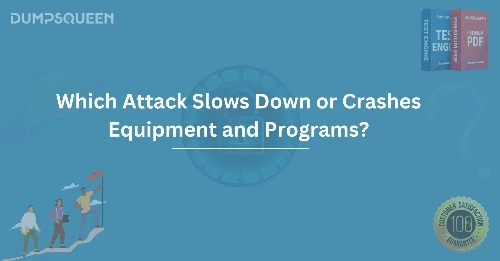 Which Attack Slows Down or Crashes Equipment and Programs? Learn How to Protect Your Systems