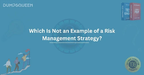 Which Is Not an Example of a Risk Management Strategy?