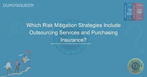 Which Risk Mitigation Strategies Include Outsourcing Services and Purchasing Insurance?