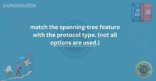How to Match the Spanning-Tree Feature with the Protocol Type (Not All Options Are Used.)