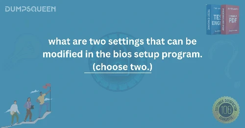 What Are Two Settings That Can Be Modified in the BIOS Setup Program. (Choose Two)