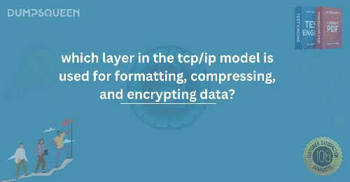 Which Layer in the TCP/IP Model is Used for Formatting, Compressing, and Encrypting Data?