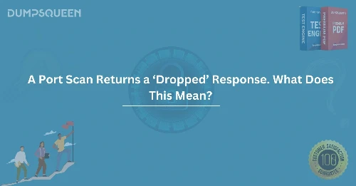 A Port Scan Returns a ‘Dropped’ Response. What Does This Mean? Cybersecurity Tips