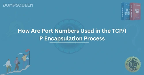 Mastering Networking How Are Port Numbers Used in the TCP/IP Encapsulation Process