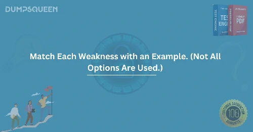A Step-by-Step Approach to Match Each Weakness with an Example. (Not All Options Are Used.)