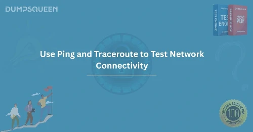 Use Ping and Traceroute to Test Network Connectivity