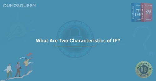 What Are Two Characteristics of IP? Learn Key Network Traits