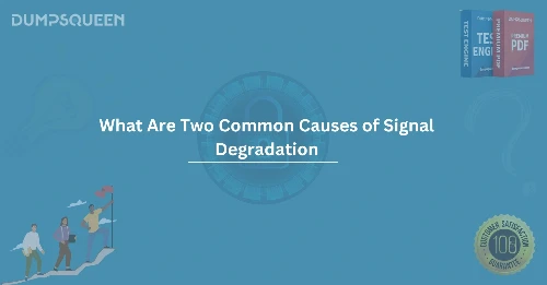 What Are Two Common Causes of Signal Degradation? Explained Simply