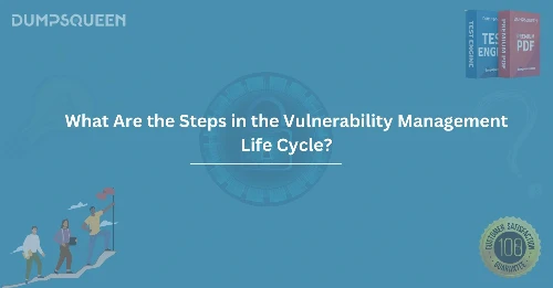What Are the Steps in the Vulnerability Management Life Cycle?