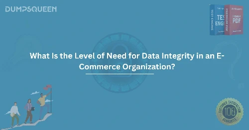 What Is the Level of Need for Data Integrity in an E-Commerce Organization?