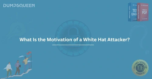 What Is the Motivation of a White Hat Attacker? A Deep Dive into Ethical Hacking
