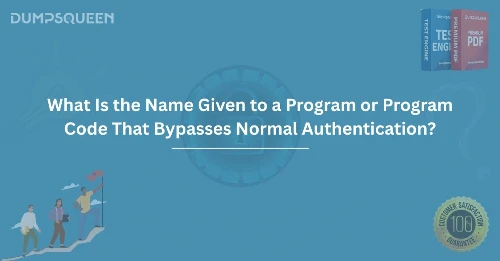 What Is the Name Given to a Program or Program Code That Bypasses Normal Authentication?
