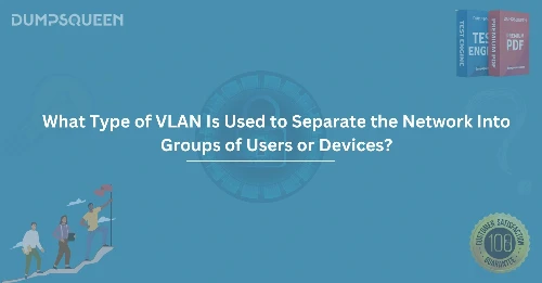 Explained What Type of VLAN Is Used to Separate the Network Into Groups of Users or Devices?