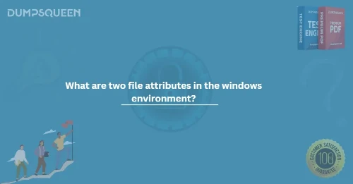 What are two file attributes in the windows environment?