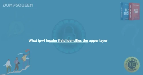 What ipv4 header field identifies the upper layer