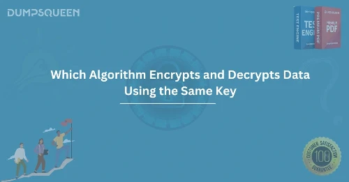 Understanding Which Algorithm Encrypts and Decrypts Data Using the Same Key in Cryptography