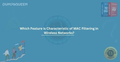 Which Feature is Characteristic of MAC Filtering in Wireless Networks?