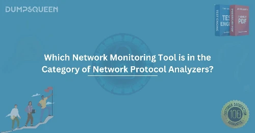 Which Network Monitoring Tool is in the Category of Network Protocol Analyzers?