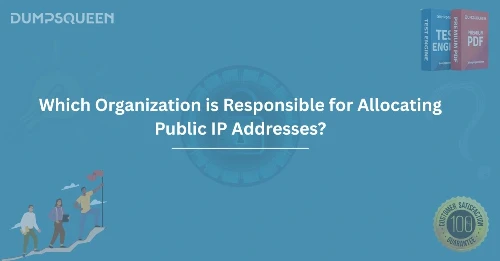 Which Organization is Responsible for Allocating Public IP Addresses?