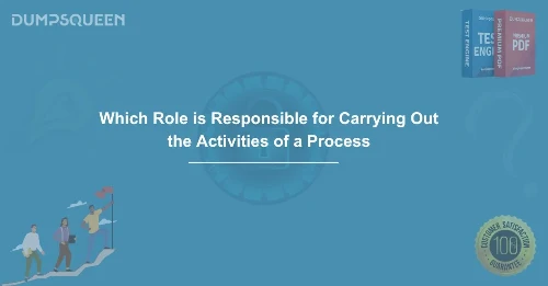 DumpsQueen Efficiency Explained Which Role is Responsible for Carrying Out the Activities of a Process 