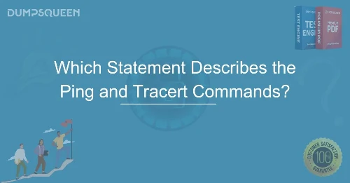 Which Statement Describes the Ping and Tracert Commands?
