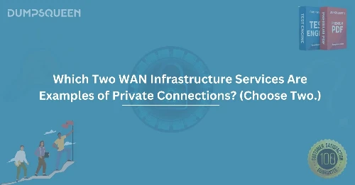 Which Two WAN Infrastructure Services Are Examples of Private Connections? (Choose Two.)