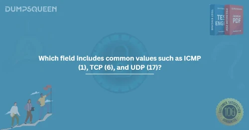 Which field includes common values such as ICMP (1), TCP (6), and UDP (17)?