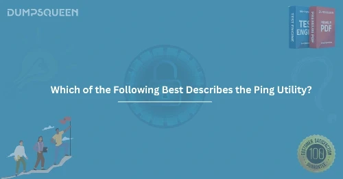 Which of the Following Best Describes the Ping Utility? Network Troubleshooting Tool