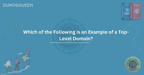 Which of the Following is an Example of a Top-Level Domain? Top TLD Examples Explained