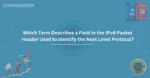 Which term describes a field in the ipv4 packet header used to identify the next level protocol?