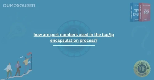 Complete Breakdown: How Are Port Numbers Used in the TCP/IP Encapsulation Process?