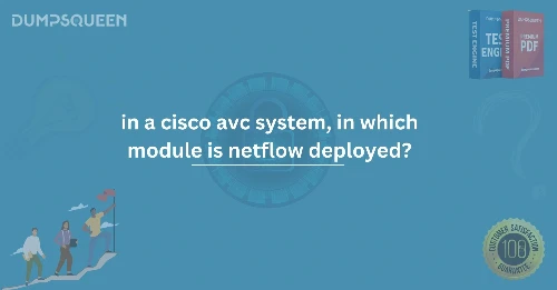 In a Cisco AVC System, In Which Module is NetFlow Deployed?