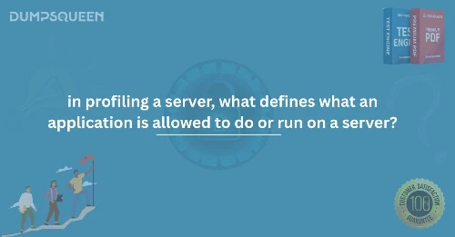 In Profiling a Server What Defines What an Application Is Allowed to Do or Run on a Server