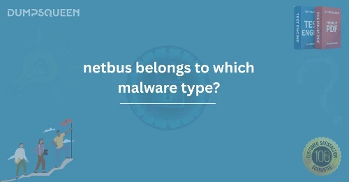 Find Out Which Malware Type NetBus Belongs To DumpsQueen