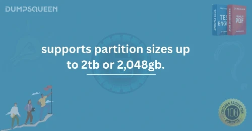 Which File System Supports Partition Sizes Up to 2TB or 2,048GB