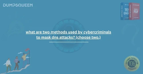 what are two methods used by cybercriminals to mask dns attacks? (choose two.)