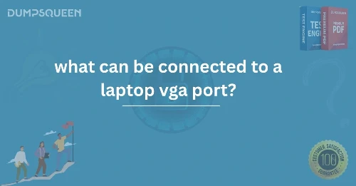 hat Can Be Connected to a Laptop VGA Port