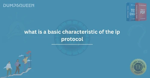 What is a Basic Characteristic of the IP Protocol – DumpsQueen