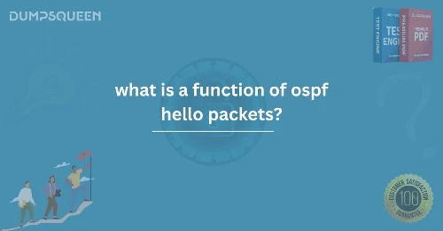 Understanding What Is a Function of OSPF Hello Packets?