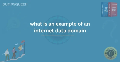 Learn What Is an Example of an Internet Data Domain Today