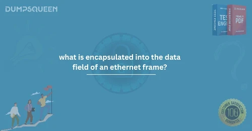 What is Encapsulated into the Data Field of an Ethernet Frame? – Complete Guide