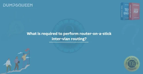 What is required to perform router-on-a-stick inter-vlan routing