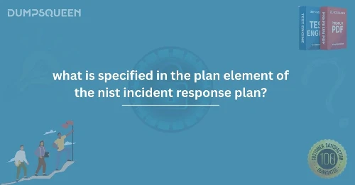 What Is Specified in the Plan Element of the NIST Incident Response Plan?