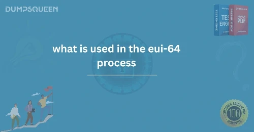 Understanding What Is Used in the EUI-64 Process